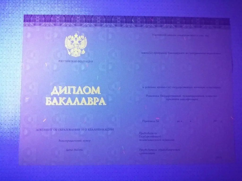 Купить степень бакалавра